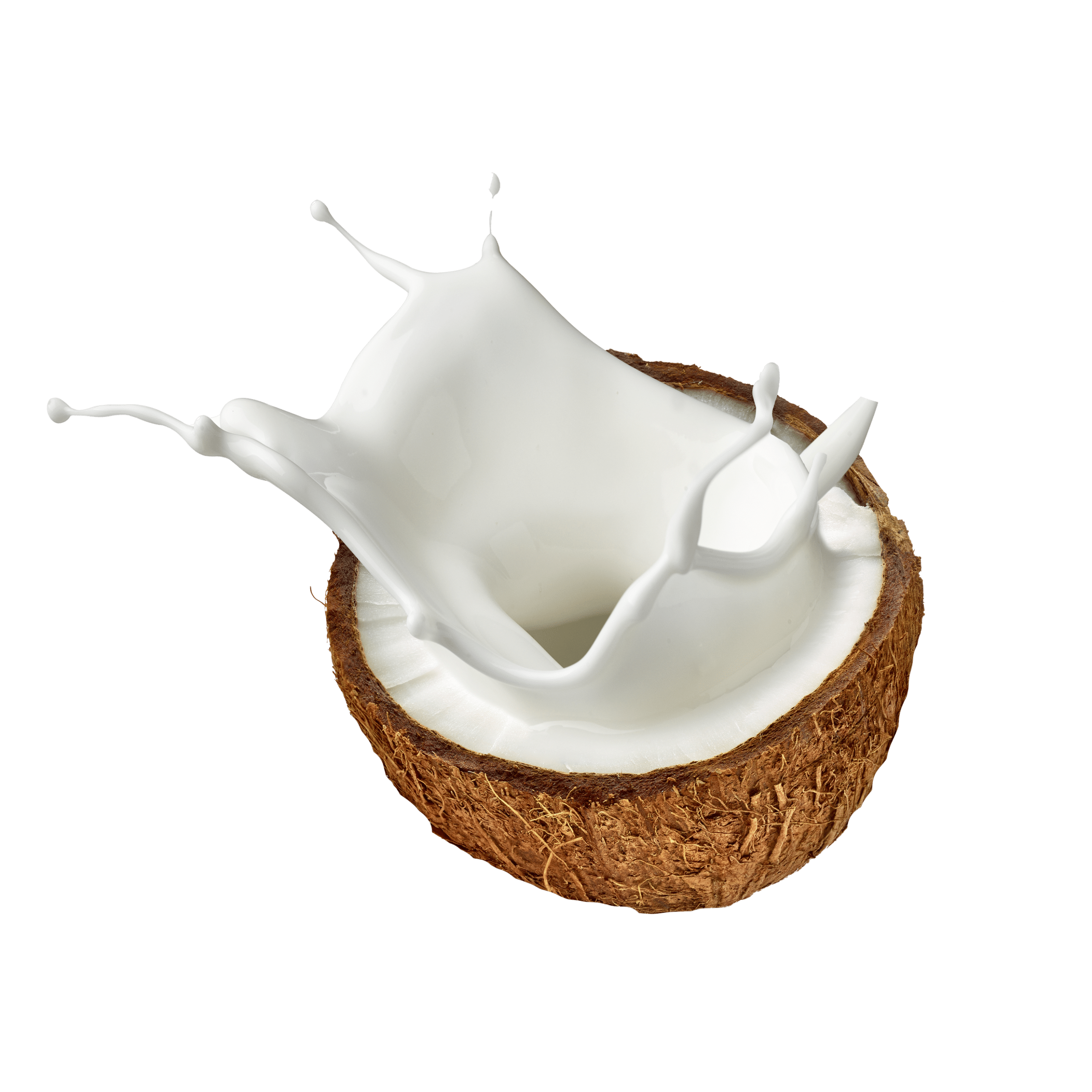 fragrance note coconut milk